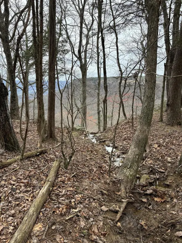 0 Raulston Falls Road, Jasper, TN 37347