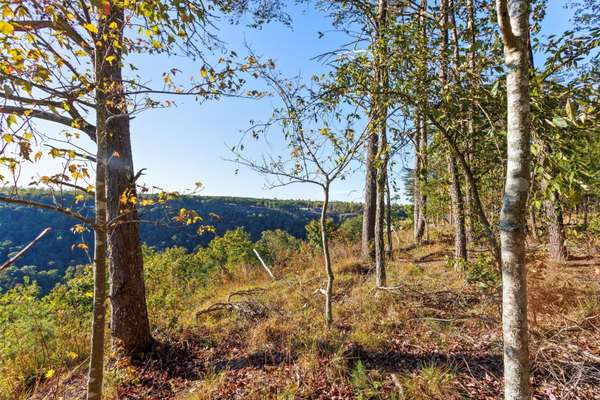 0 Raulston Falls Road, Jasper, TN 37347