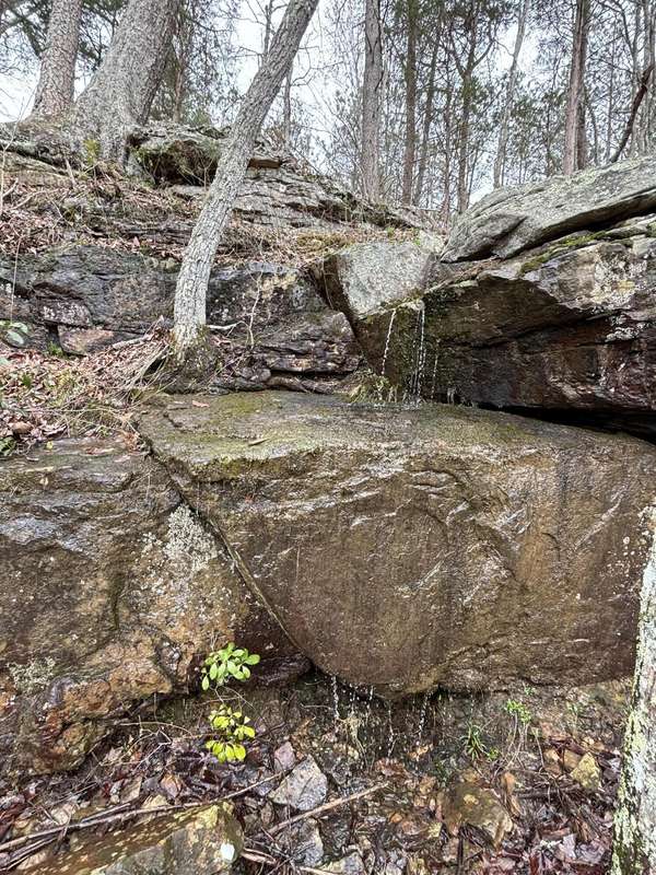 0 Raulston Falls Road, Jasper, TN 37347