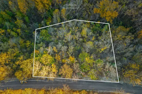 0 Blackberry Ridge Way, Smithville, TN 37166