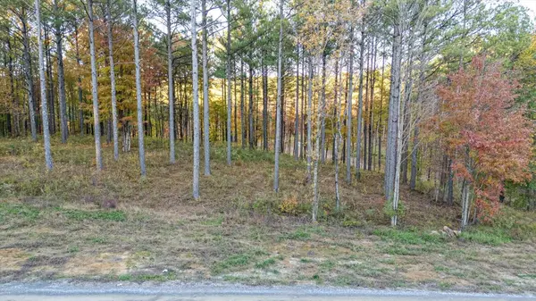 0 Split Rail Way, Guild, TN 37340