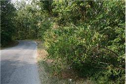 0 Oak Hill Road, Lyles, TN 37098