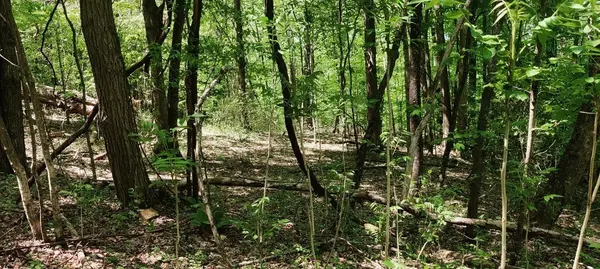 0 Coburntown Road, South Pittsburg, TN 37380