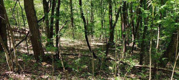 0 Coburntown Road, South Pittsburg, TN 37380