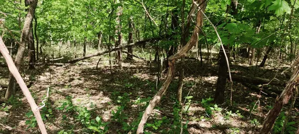 0 Coburntown Road, South Pittsburg, TN 37380