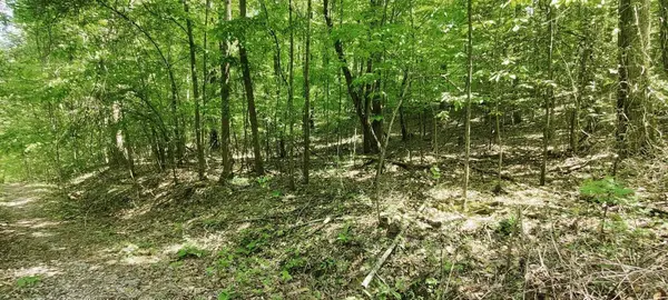 0 Coburntown Road, South Pittsburg, TN 37380