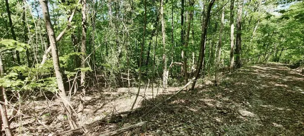 0 Coburntown Road, South Pittsburg, TN 37380