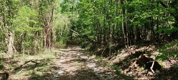 0 Coburntown Road, South Pittsburg, TN 37380