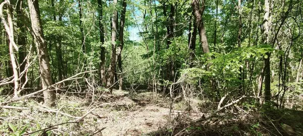 0 Coburntown Road, South Pittsburg, TN 37380