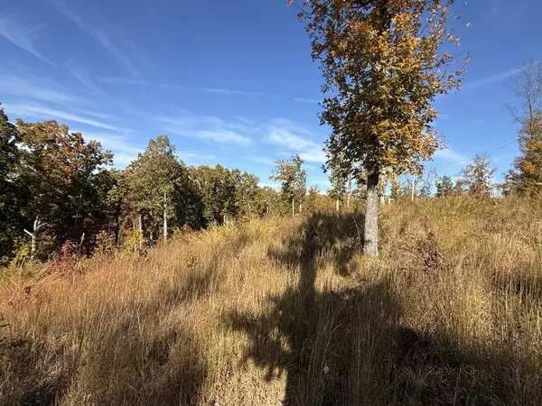 54 Ridge Top Road, Stewart, TN 37175