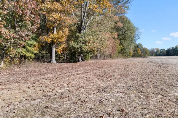 0 Hwy 431 #N, Springfield, TN 37172