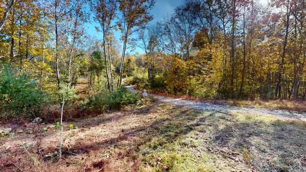 151 Angels Cove Ln, Lebanon, TN 37087