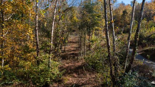 151 Angels Cove Ln, Lebanon, TN 37087