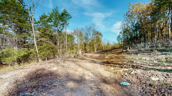 151 Angels Cove Ln, Lebanon, TN 37087
