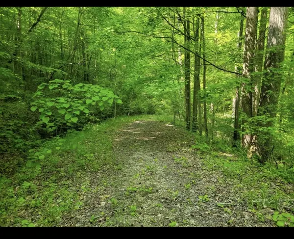 0 Shetland trace, Sparta, TN 38583
