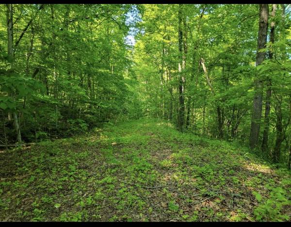 0 Shetland trace, Sparta, TN 38583