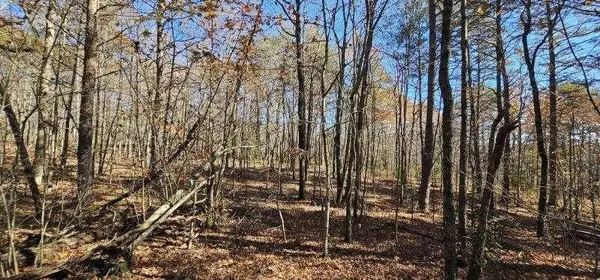 0 Woods Rd, Dunlap, TN 37327