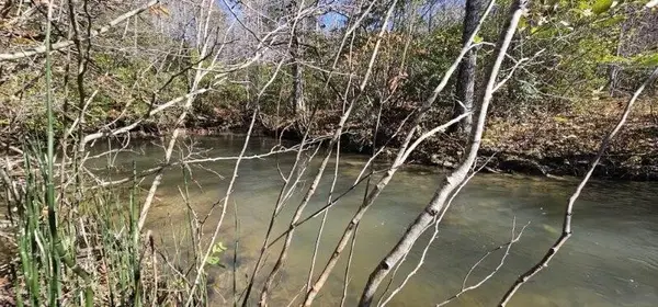 0 Woods Rd, Dunlap, TN 37327