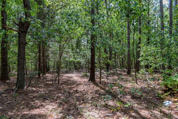 0 Brush Creek Rd, Hohenwald, TN 38462