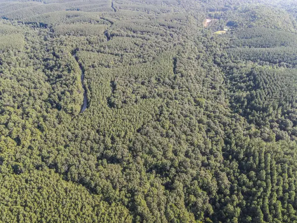 0 Brush Creek Rd, Hohenwald, TN 38462