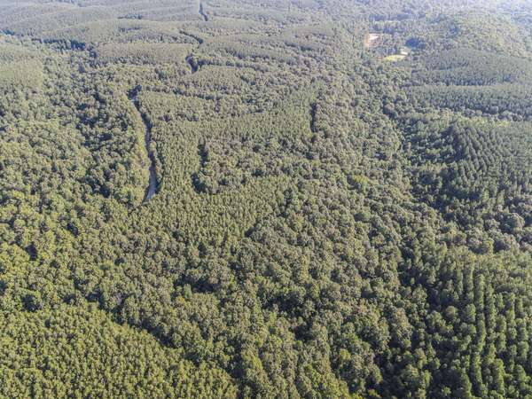 0 Brush Creek Rd, Hohenwald, TN 38462