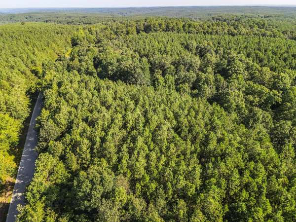 0 Brush Creek Rd, Hohenwald, TN 38462