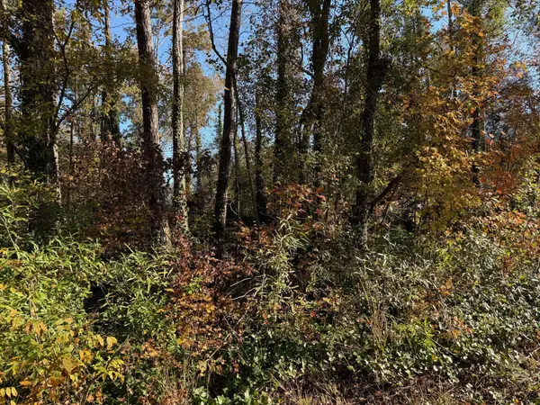 0 Apache Road, Jackson, GA 30233