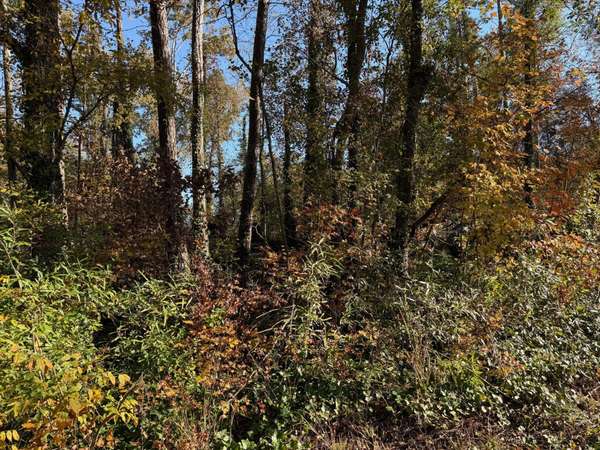 0 Apache Road, Jackson, GA 30233