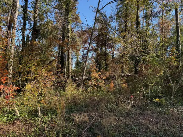 0 Apache Road, Jackson, GA 30233