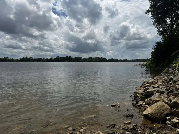 0 CATFISH LN, Crump, TN 38327