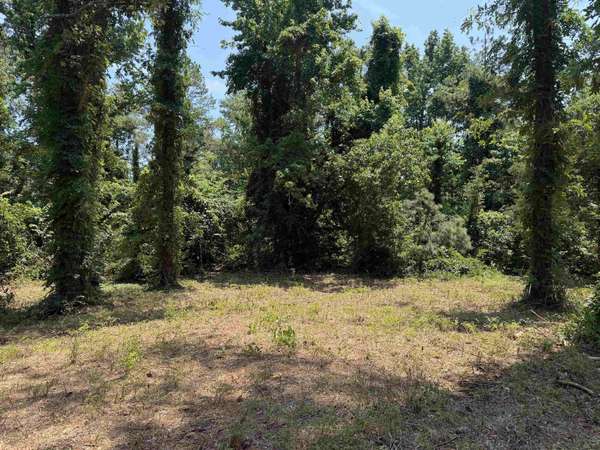 0 Hwy 57, Michie, TN 38357