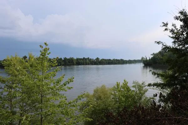 0 CATFISH LN, Crump, TN 38327