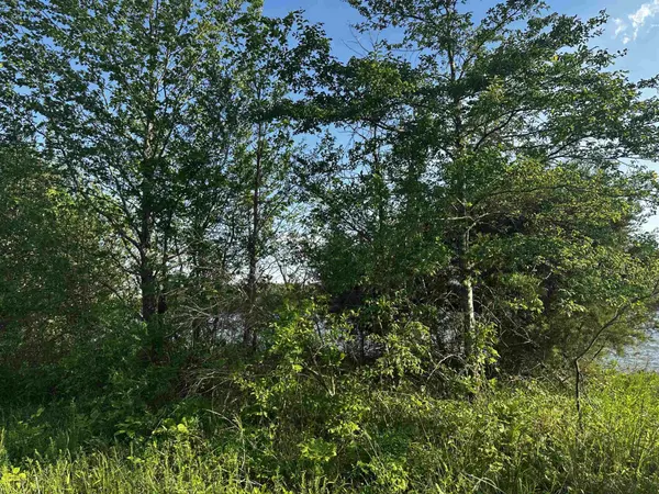 0 CATFISH LN, Crump, TN 38327
