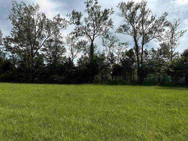 0 CATFISH LN, Crump, TN 38327