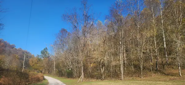 0 Ferguson Road, Cornersville, TN 37047