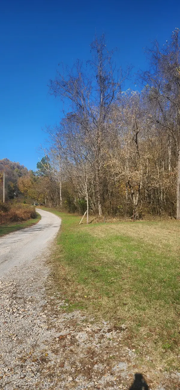 0 Ferguson Road, Cornersville, TN 37047