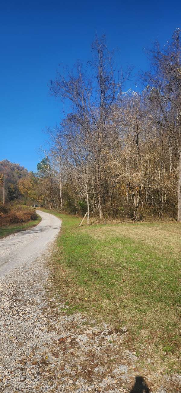 0 Ferguson Road, Cornersville, TN 37047