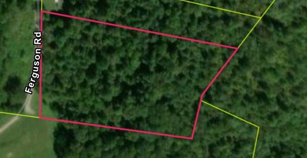 0 Ferguson Road, Cornersville, TN 37047