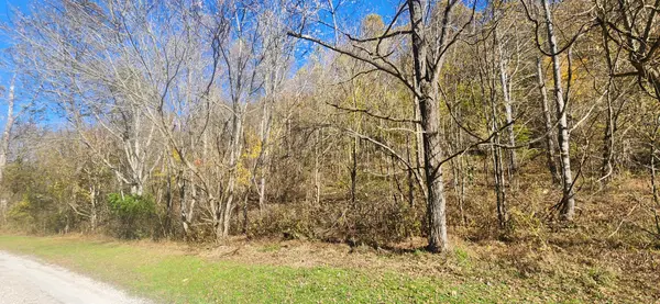 0 Ferguson Road, Cornersville, TN 37047