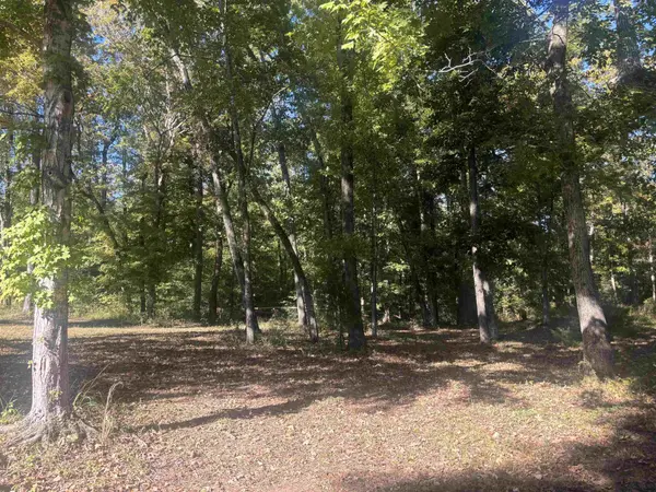 0 MARIAH LN, Bath Springs, TN 38311