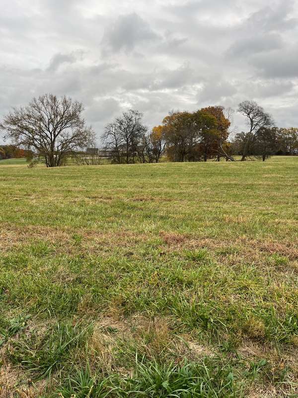 0 Glen Raven Road, Cedar Hill, TN 37032