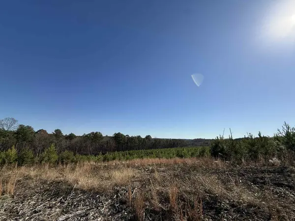 0 St Rt 399, Dunlap, TN 37327