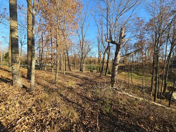 407 Brow Wood Lane, Lookout Mountain, GA 30750
