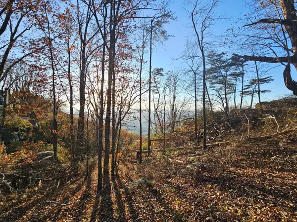 407 Brow Wood Lane, Lookout Mountain, GA 30750