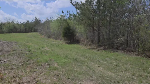 830 Twin Pines Overlook, Lobelville, TN 37097