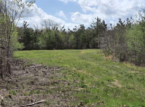 830 Twin Pines Overlook, Lobelville, TN 37097