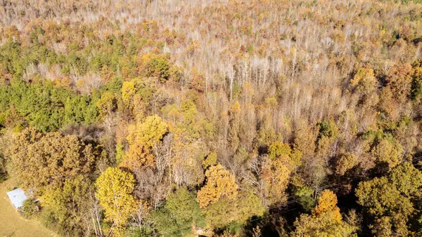 8069 OLD STAGE RD, Adamsville, TN 38310
