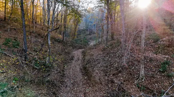 0 Chestnut Grove Rd, Pulaski, TN 38478