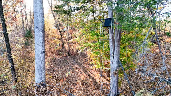 0 Chestnut Grove Rd, Pulaski, TN 38478