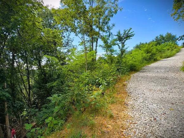 142 Sunfish lane, Hilham, TN 38568